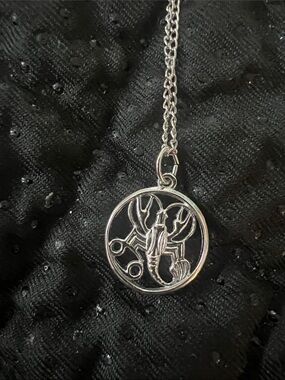 Vintage VNS STG Sterling Silver Cancer Zodiac Pendant Necklace